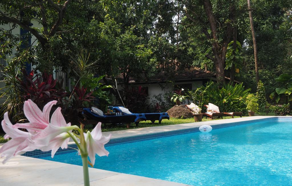 The Secret Garden Goa Guest House Saligao Exterior photo