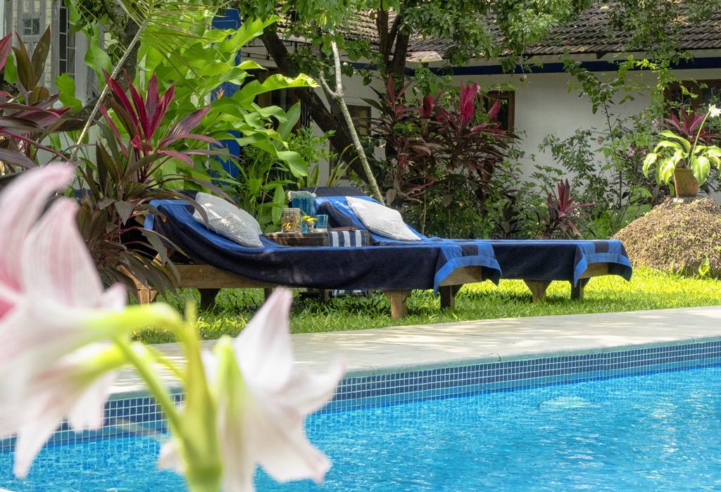 The Secret Garden Goa Guest House Saligao Exterior photo